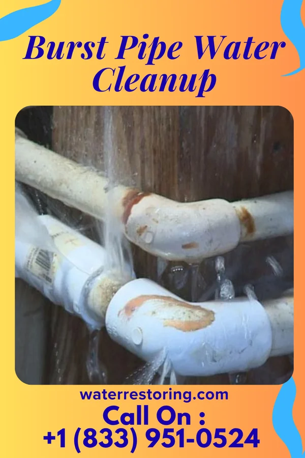 Burst Pipe Water Cleanup in St. Marys, PA