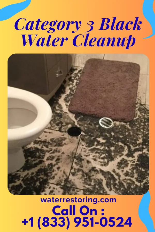 Category 3 Black Water Cleanup in St. Marys, PA