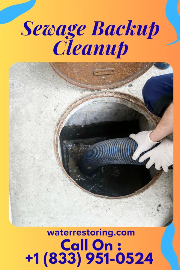 Sewage Backup Cleanup in St. Marys, PA